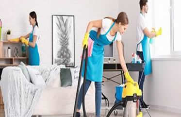 services