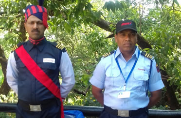 services